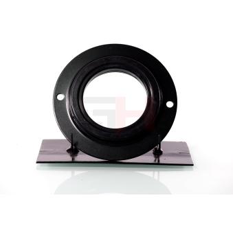 Coupelle de suspension GH OEM 486190R010