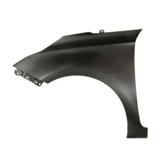 Aile avant gauche BLIC 6504-04-3287313P