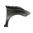 Aile avant droit BLIC [6504-04-3287314P]