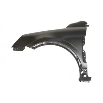 Aile avant gauche BLIC 6504-04-5099311P