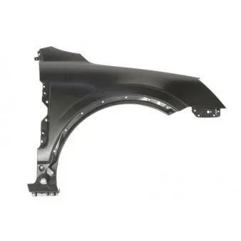 Aile avant droit BLIC 6504-04-5099312P