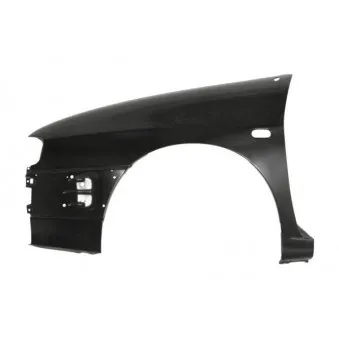 Aile BLIC OEM 6K0821105A