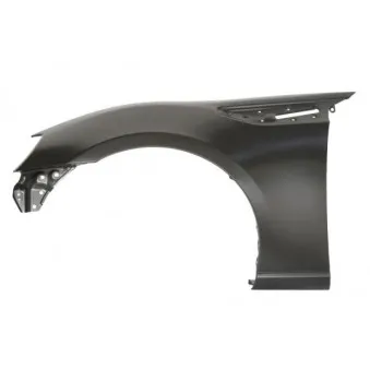 Aile avant gauche BLIC 6504-04-6740311P