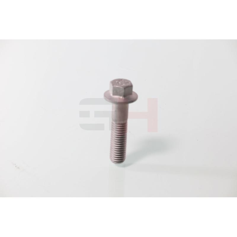 Vis, bout d'essieu GH GH-392549 - Visuel 2