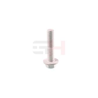 Vis, bout d'essieu GH OEM 6198234