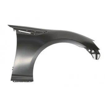 Aile avant droit BLIC 6504-04-6740312P