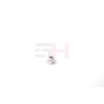 Écrou GH OEM 11094488 Écrou GH OEM 11094488