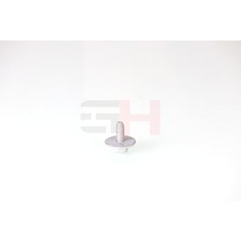 Vis GH OEM 7703602317