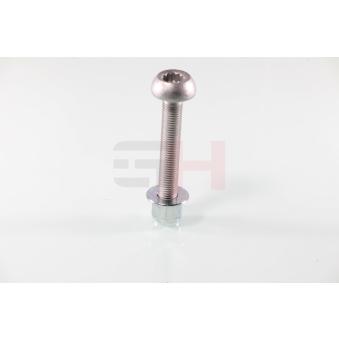 Vis, bout d'essieu GH GH-399961 Vis, bout d'essieu GH GH-399961