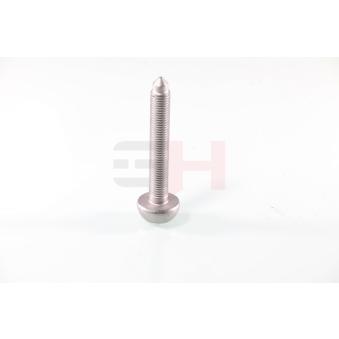 Vis, bout d'essieu GH GH-399961S Vis, bout d'essieu GH GH-399961S