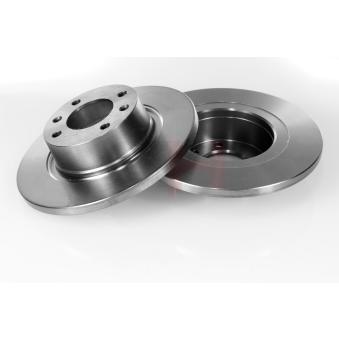 Jeu de 2 disques de frein arrière GH OEM E169143