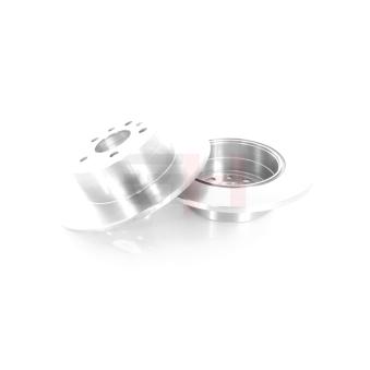 Jeu de 2 disques de frein arrière GH OEM 4565693