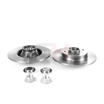 Jeu de 2 disques de frein arrière GH OEM 424965 Jeu de 2 disques de frein arrière GH OEM 424965