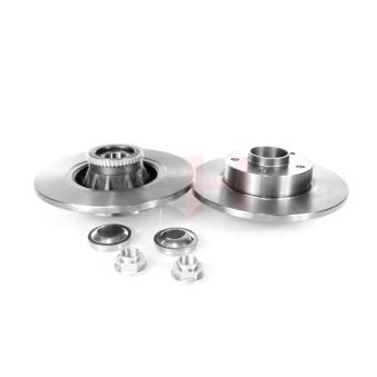 Jeu de 2 disques de frein arrière GH OEM 8200228610