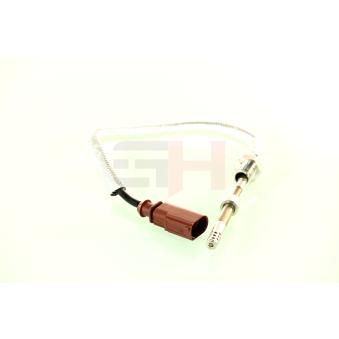 Capteur, température des gaz GH OEM 059906088M
