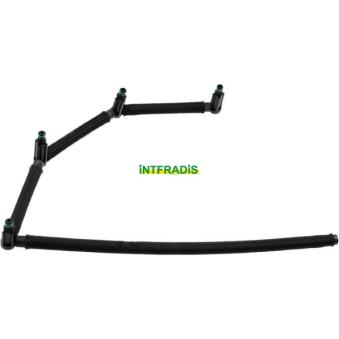 Tuyau, carburant de fuite INTFRADIS OEM 1441256