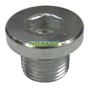 Vis-bouchon, carter d'huile INTFRADIS [304]
