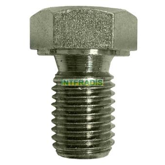 Vis-bouchon, carter d'huile INTFRADIS [305]