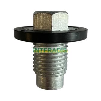 Vis-bouchon, carter d'huile INTFRADIS [309]