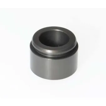 BUDWEG CALIPER 234232 - Piston, étrier de frein