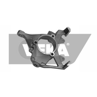 Fusée d'essieu, suspension de roue avant gauche DYS [79-01201L]