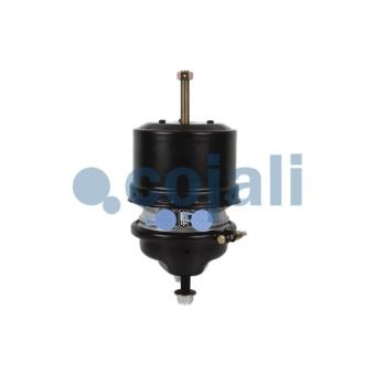 Cylindre de frein à ressort COJALI OEM 0204203318 Cylindre de frein à ressort COJALI OEM 0204203318