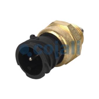 Commutateur/interrupteur de controle COJALI OEM 1320291 Commutateur/interrupteur de controle COJALI OEM 1320291