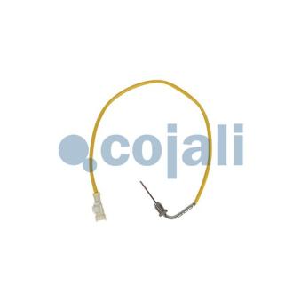 Capteur, température des gaz COJALI [2262019]
