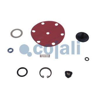 Kit de réparation COJALI [6012106]