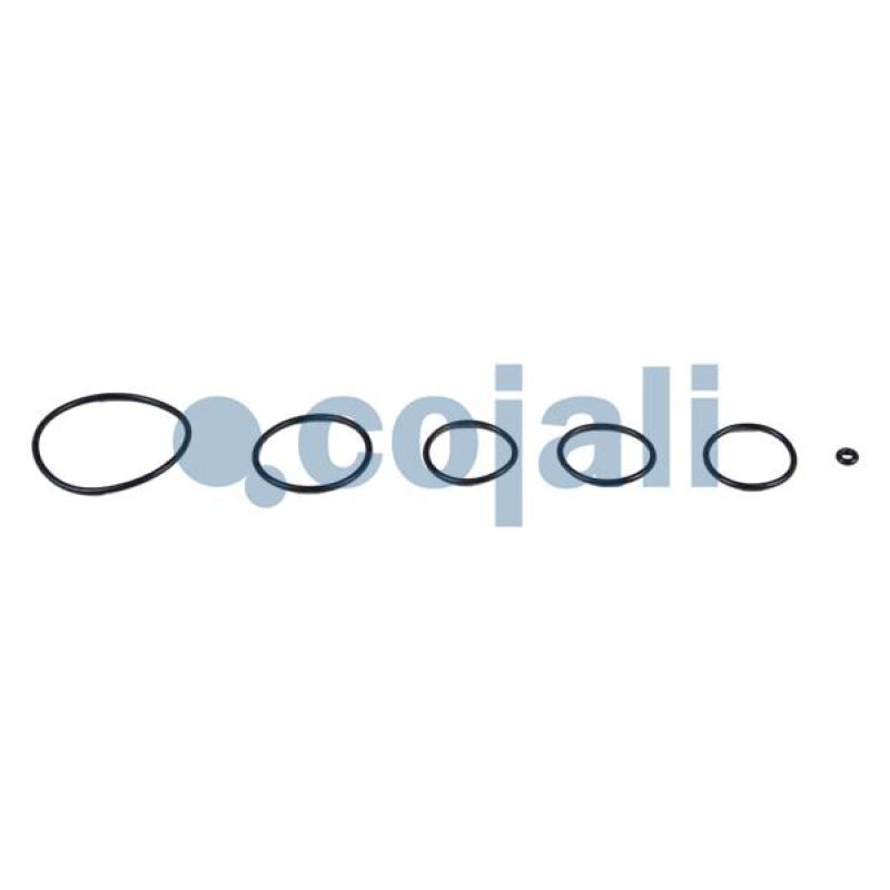 Kit de réparation, régulateur de freinage COJALI 6012242 - Visuel 2