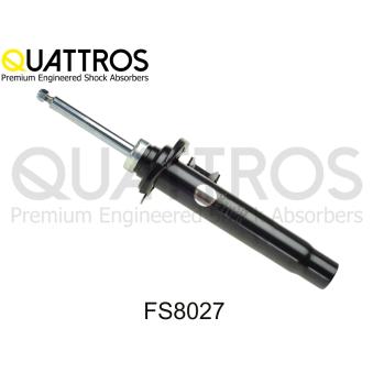 Jeu de 2 amortisseurs arrière DAVID VASCO [FS8027]