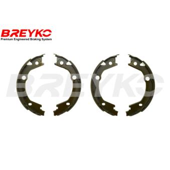 Jeu de mâchoires de frein DAVID VASCO [W8747]