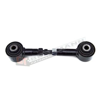 Triangle ou bras de suspension (train arrière) GT-BERGMANN [GT20-092]