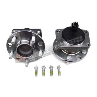 Roulement de roue arrière GT-BERGMANN OEM 1124904