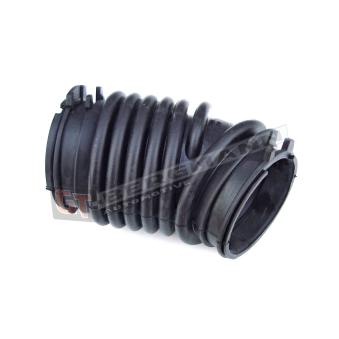 Tuyau d'aspiration, alimentation d'air GT-BERGMANN GT52-010 pour FORD FOCUS 1.8 - 125cv