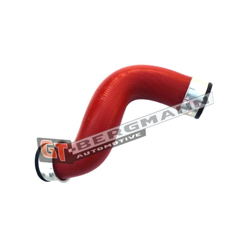 Gaine de suralimentation GT-BERGMANN GT52-195 - Visuel 1