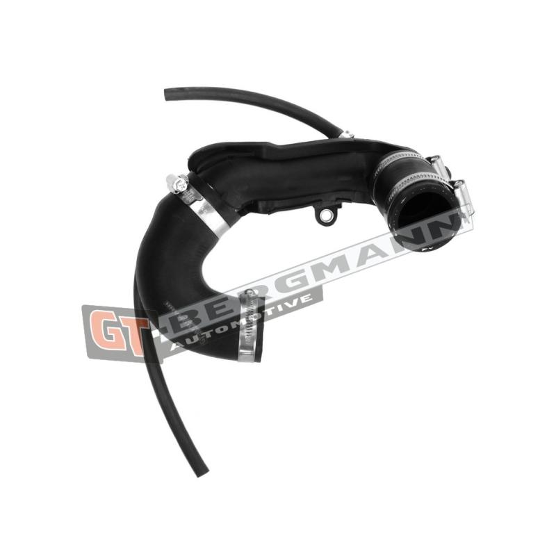 Gaine de suralimentation GT-BERGMANN GT52-250 - Visuel 1