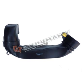 Tuyau d'aspiration, alimentation d'air GT-BERGMANN OEM 1434C1 Tuyau d'aspiration, alimentation d'air GT-BERGMANN OEM 1434C1