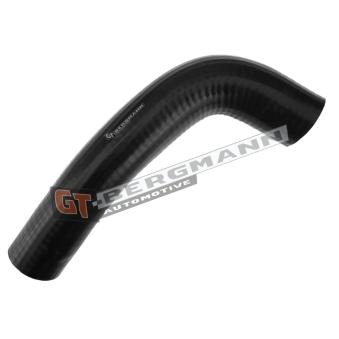 Gaine de suralimentation GT-BERGMANN [GT52-291]