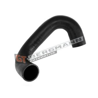 Gaine de suralimentation GT-BERGMANN OEM 1366816080