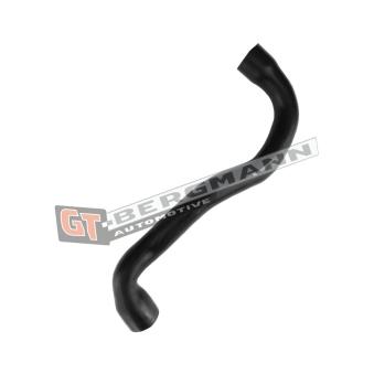 Gaine de suralimentation GT-BERGMANN OEM 93329873