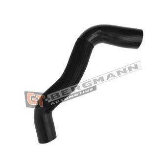 Gaine de suralimentation GT-BERGMANN OEM 1366817080
