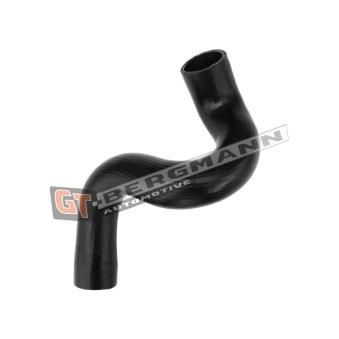 Gaine de suralimentation GT-BERGMANN [GT52-532]