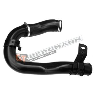Gaine de suralimentation GT-BERGMANN GT52-581 pour FIAT DOBLO 1.4 Natural Power - 120cv