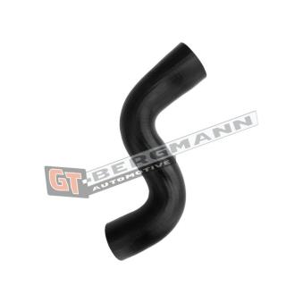 Gaine de suralimentation GT-BERGMANN [GT52-700]