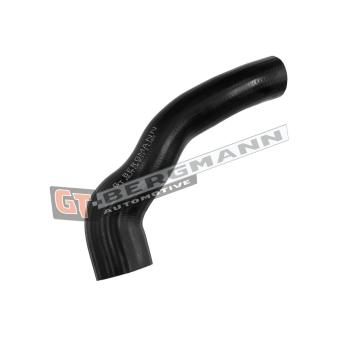 Gaine de suralimentation GT-BERGMANN GT52-782 pour VOLKSWAGEN GOLF 1.9 TDI - 110cv