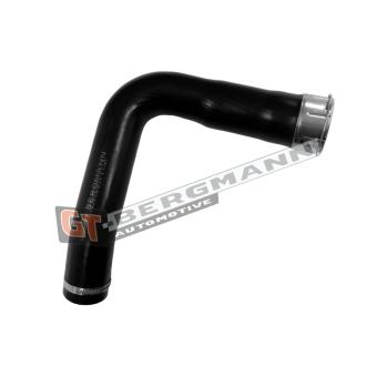 Gaine de suralimentation GT-BERGMANN OEM 2E0145856E