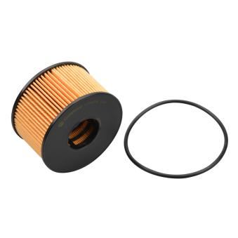 Filtre à huile CASTROL FILTERS OEM XS7Q6744AA