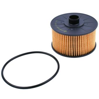 Filtre à huile CASTROL FILTERS OEM 2811800010SK1