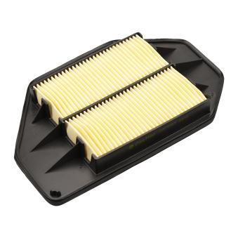 Filtre à air CASTROL FILTERS OEM 17220PLZE01